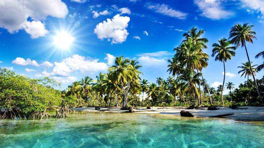 Tropical Hidden Island Shore Wallpaper