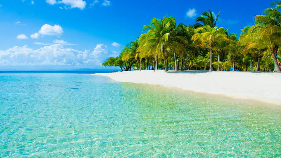 Tropical Island Coast Wallpaper