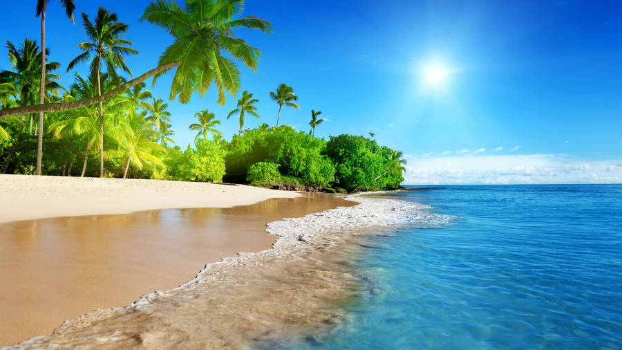 Tropical Island Season Wallpaper