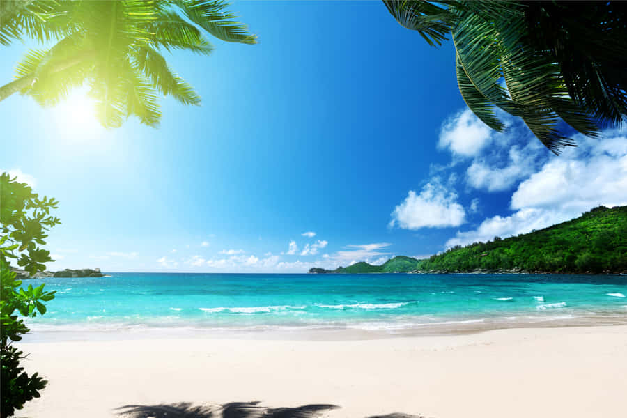 Tropical Island Sun Wallpaper