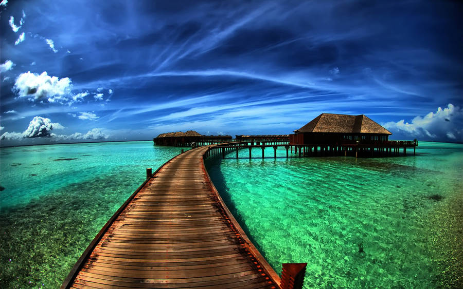 Tropical Longest Boardwalk Wallpaper