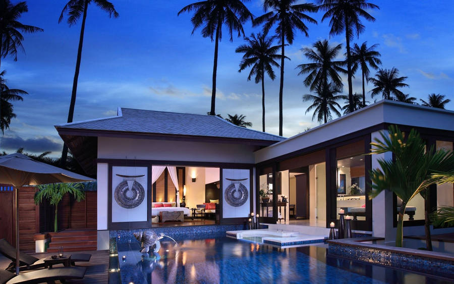 Tropical Palms Pool House Wallpaper