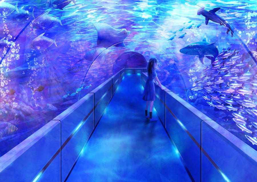 Tunnel Aquarium Digital Art Wallpaper