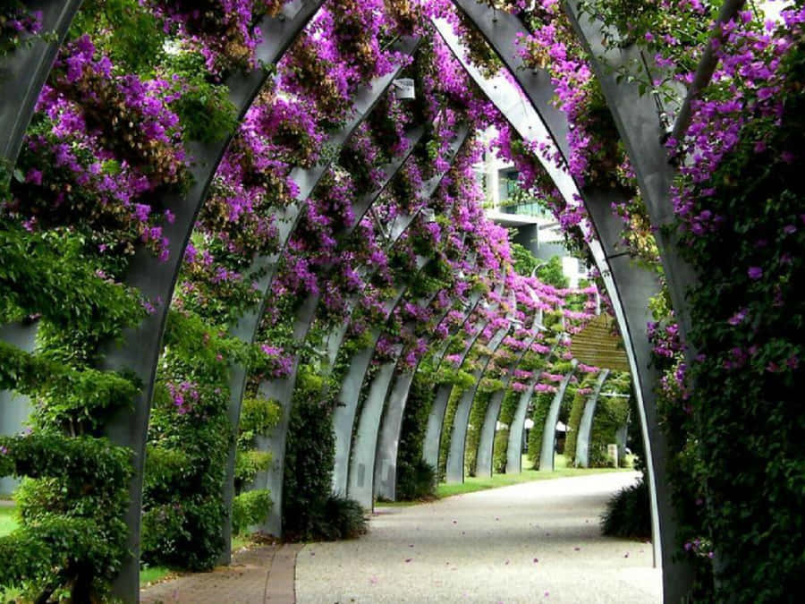 Tunnel Of Nature Flower Wallpaper