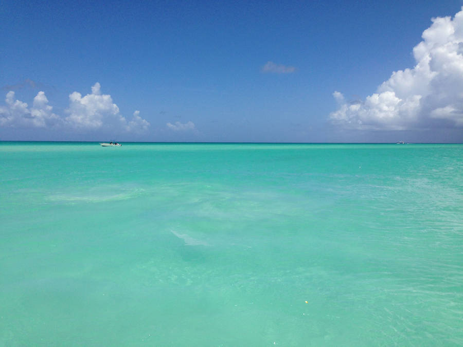 Turks And Caicos Blue-green Ocean Wallpaper