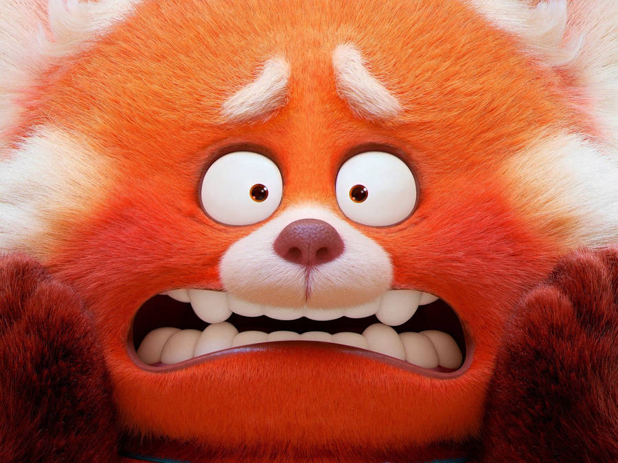 Turning Red Scared Red Panda Wallpaper