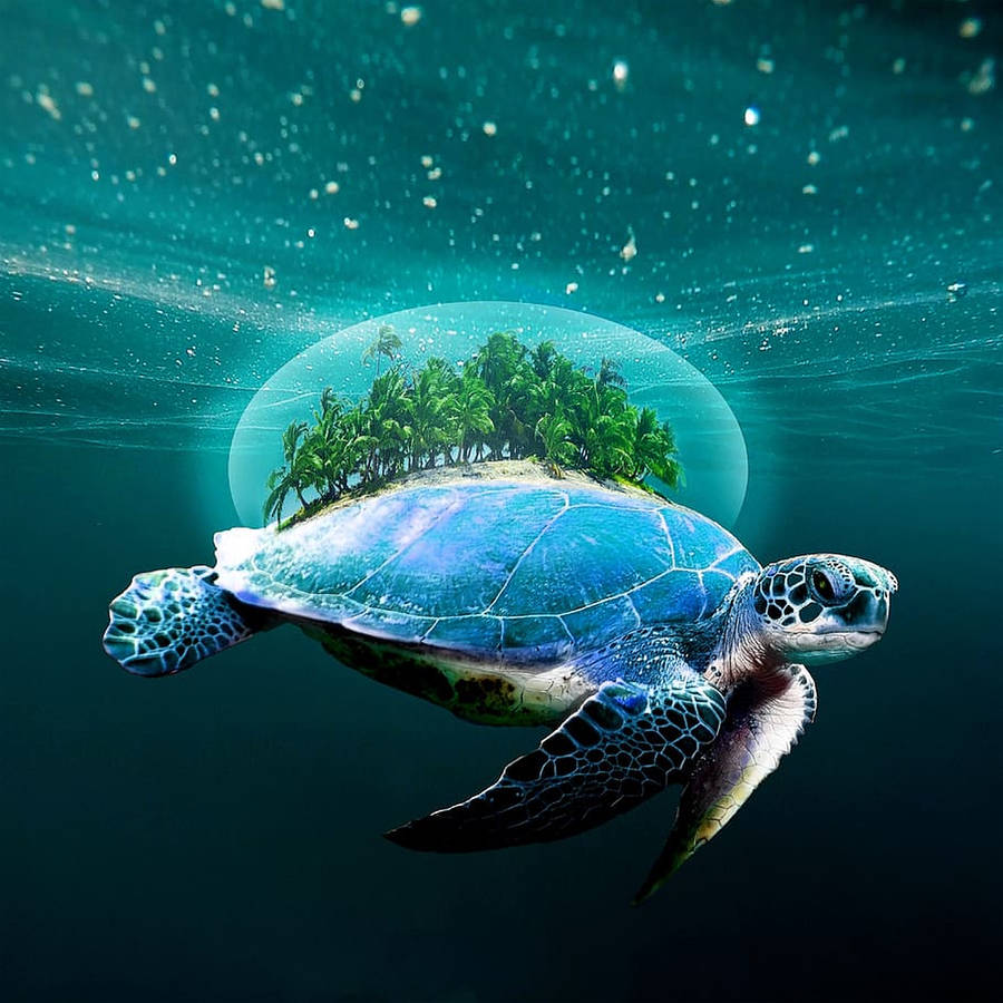 Turtle With Miniature Island Wallpaper