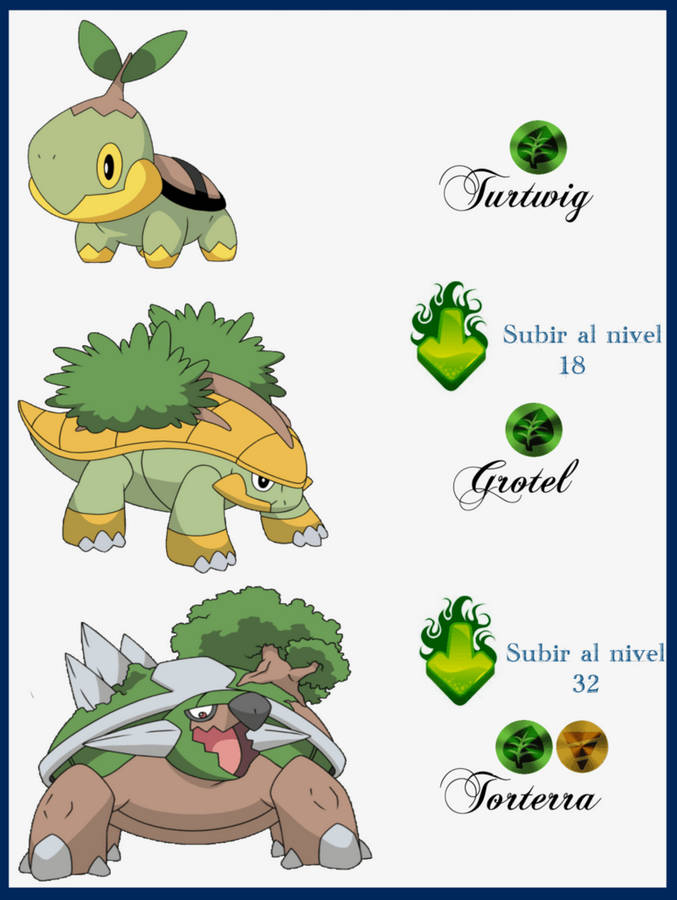 Turtwig Evolution Chart Showcasing Its Transformation Wallpaper