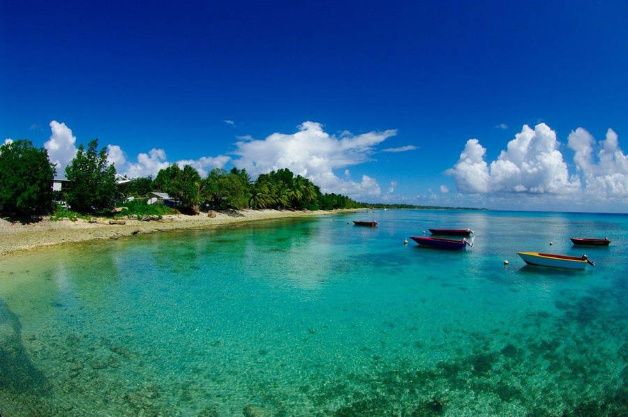 Tuvalu Clear Emerald Sea Wallpaper