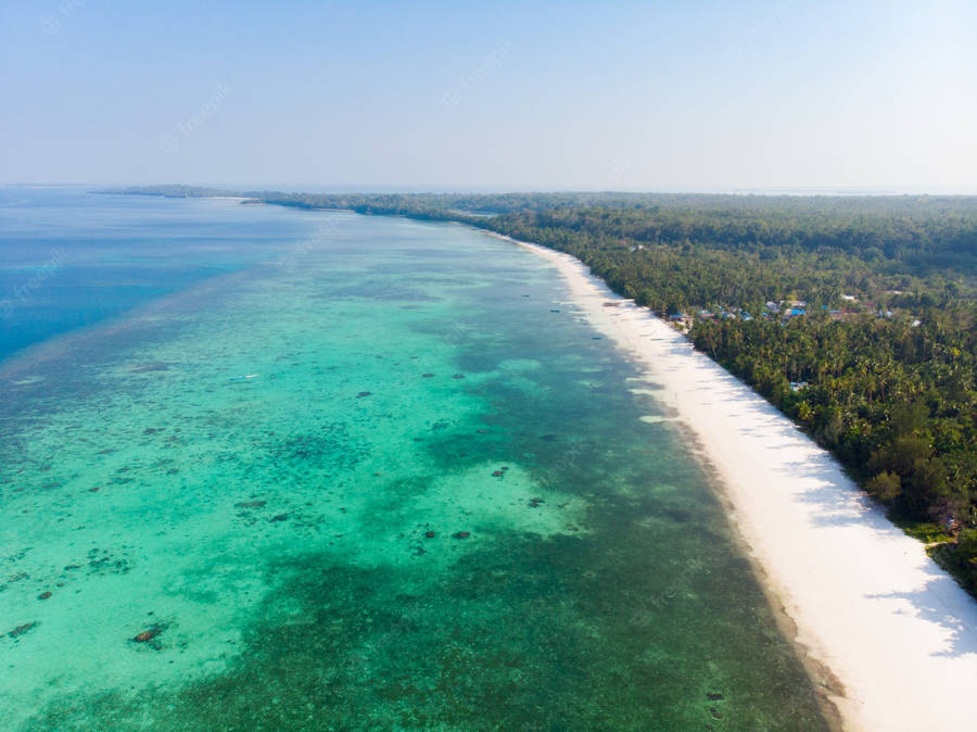 Tuvalu Sea Green Water Wallpaper