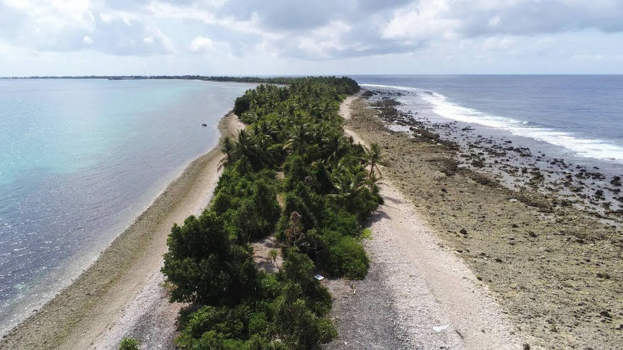 Tuvalu Trees In Pathway Wallpaper