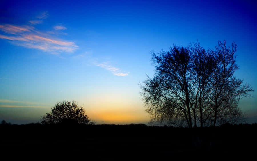 Twilight Silhouette Trees Landscape Wallpaper