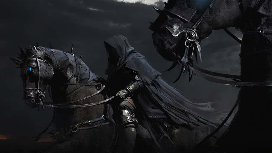 Two Black Horses With Cloaks On Them Wallpaper