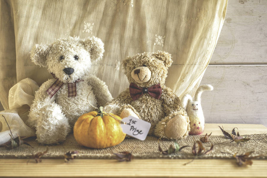 Two Cute Teddy Bear Wallpaper