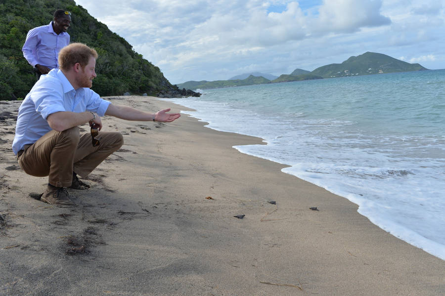 Two Men In St Kitts And Nevis Beach Wallpaper