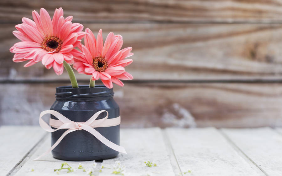 Two Pink Daisies In Flower Vase Wallpaper