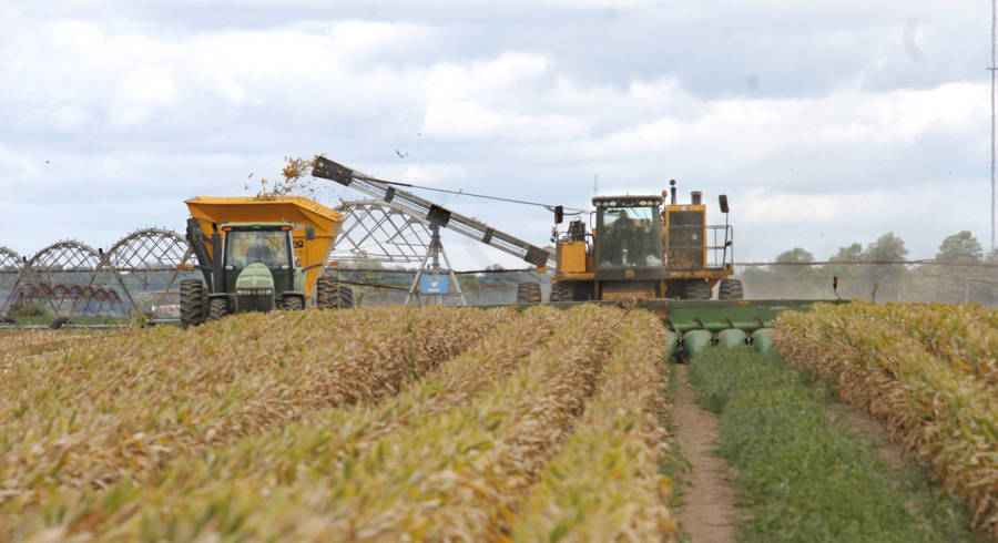 Two Tractors Harvesting Crops Wallpaper