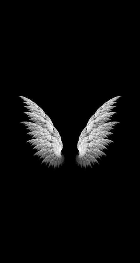 Two White Angel Wings On A Black Background Wallpaper