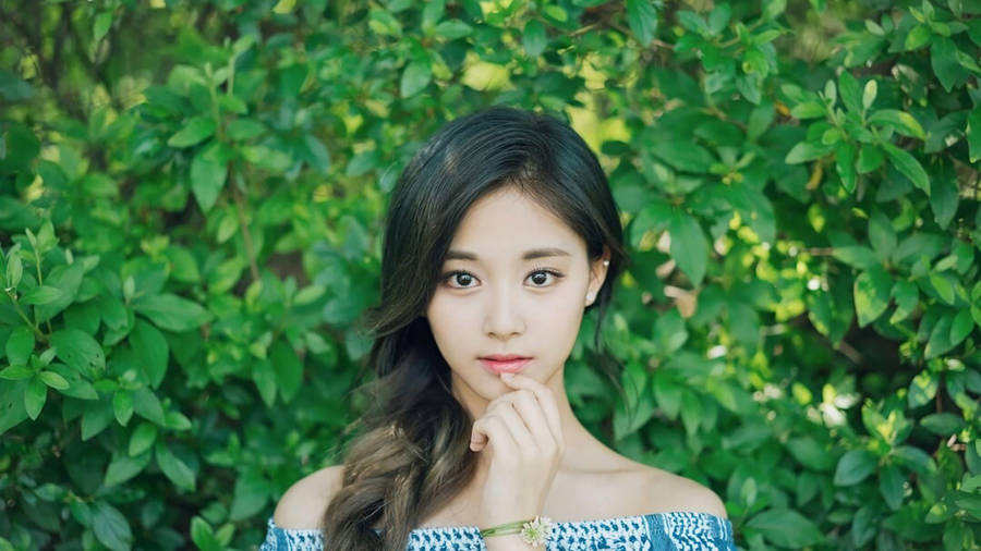 Tzuyu X Pholar Photoshoot Wallpaper