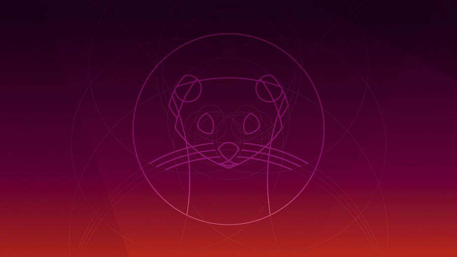 Ubuntu Focal Fossa Cat Wallpaper