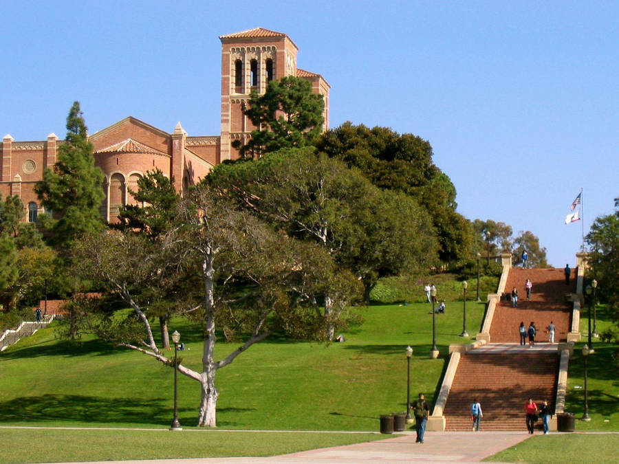 Ucla Royce Hall Exterior Wallpaper