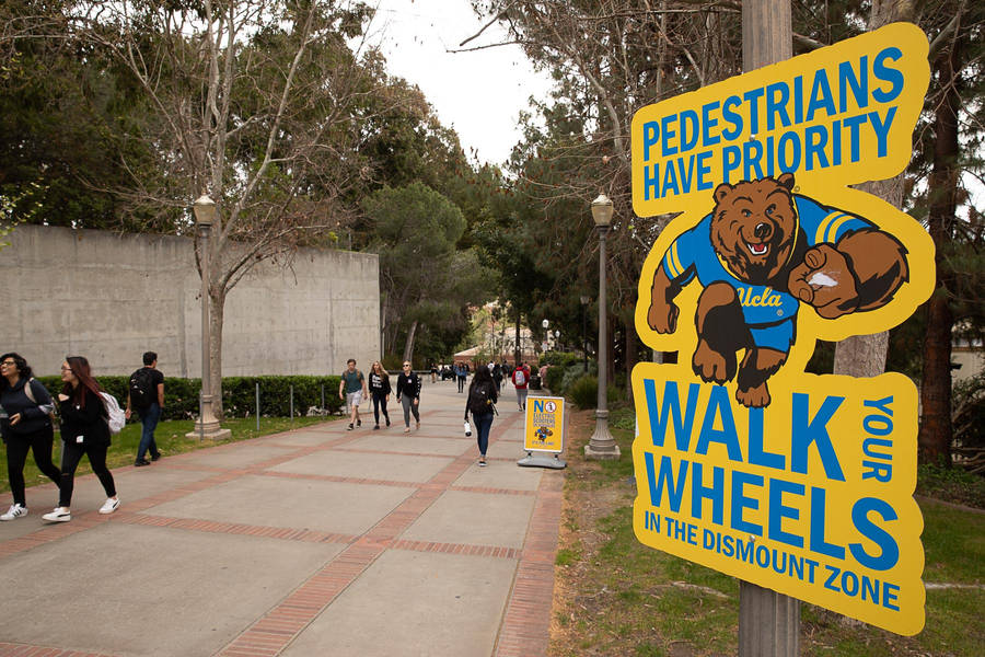 Ucla Walk Your Wheels Wallpaper