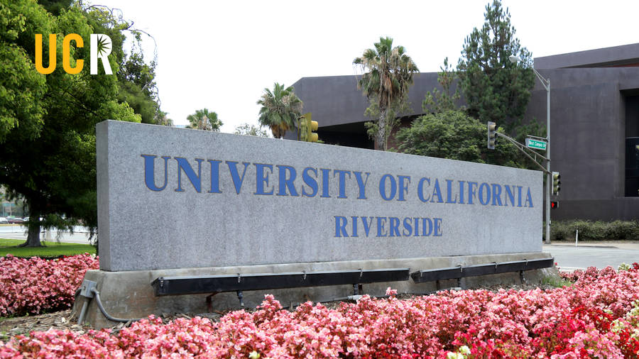 Ucr Concrete Sign With Flowers Wallpaper