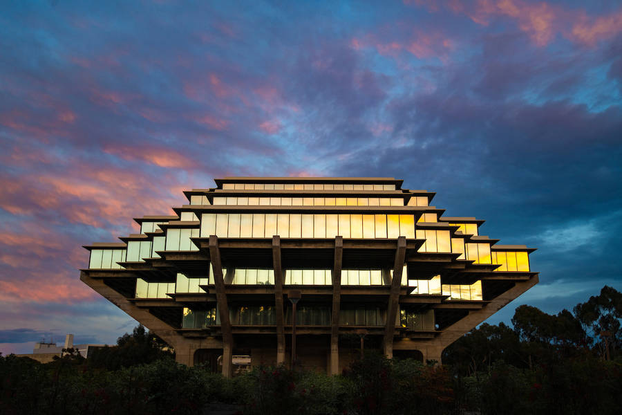 Ucsd Sunset Lights Wallpaper