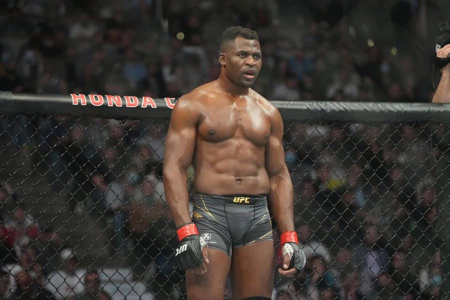 Ufc Champion Francis Ngannou In The Ring Wallpaper