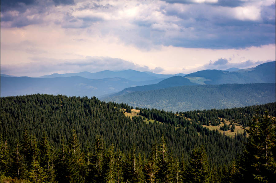 Ukraine Mount Hoverla Wallpaper