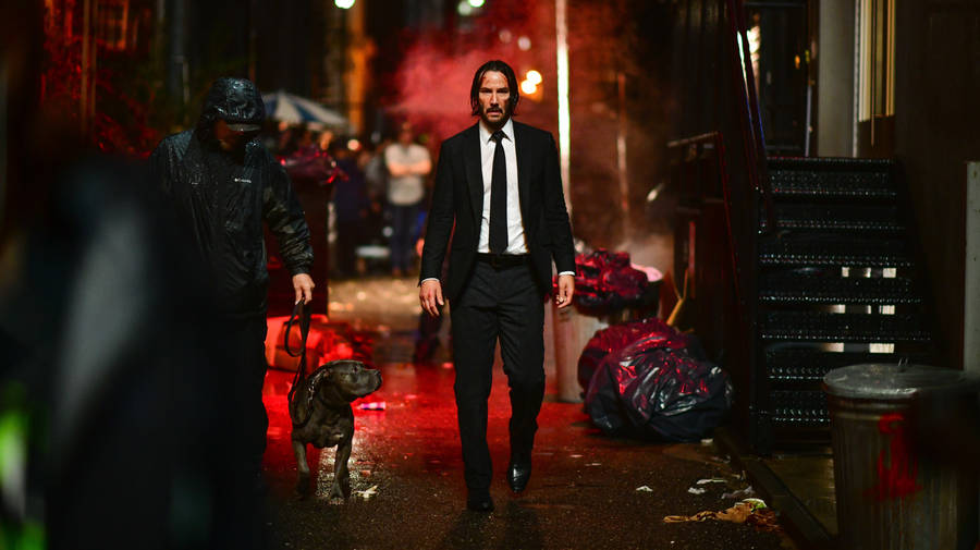 Ultra Hd John Wick And His Dog Wallpaper