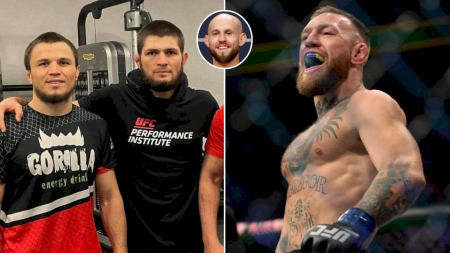 Umar Nurmagomedov And Conor Mcgregor Wallpaper