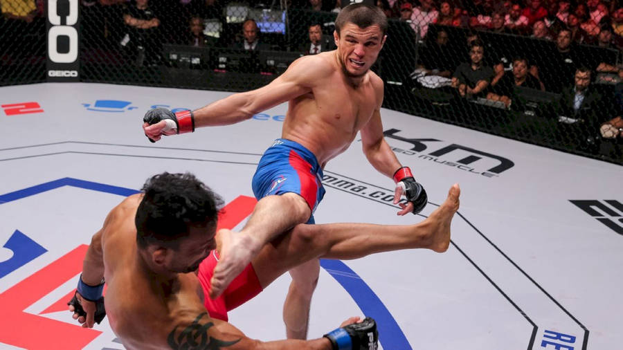 Umar Nurmagomedov Landing His Kick Wallpaper