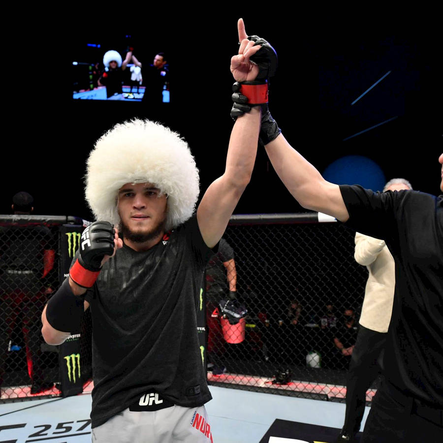 Umar Nurmagomedov Victory Wallpaper