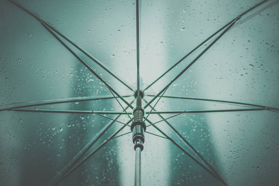 Umbrella, Rain, Drops Wallpaper