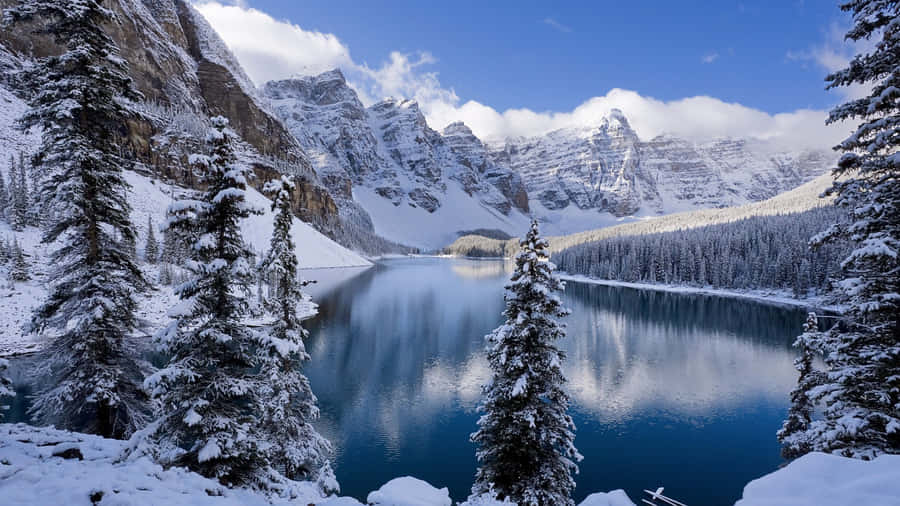 Uncover The Wonders Of Winter Wallpaper