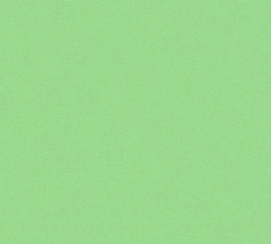 Undecorated Light Green Plain Wallpaper