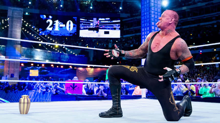 Undertaker Victory Poseat Wrestle Mania Wallpaper