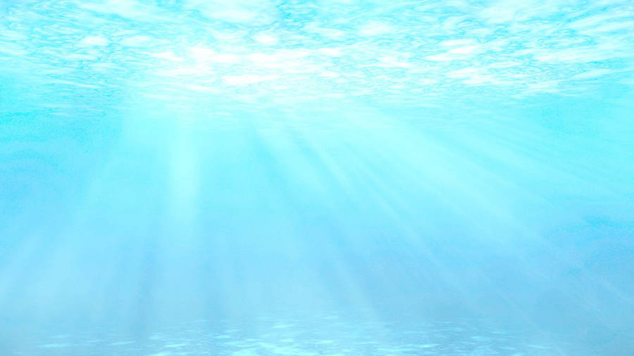 Underwater Baby Blue Sea Wallpaper