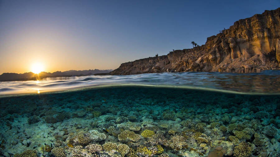 Underwater Ocean And Sunset Wallpaper