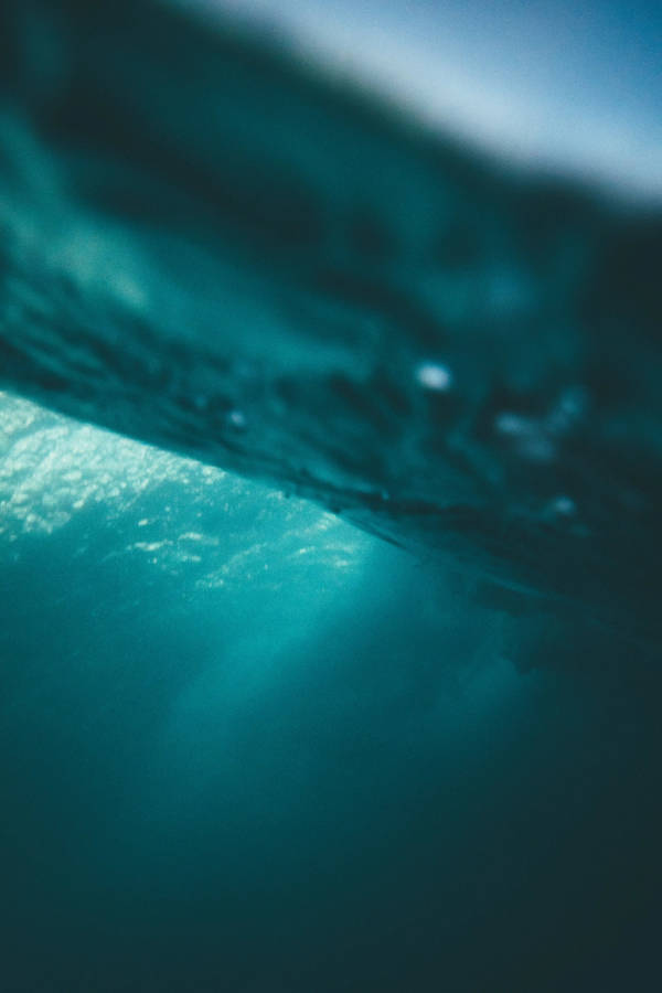 Underwater Sea Background Wallpaper