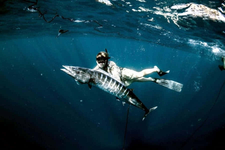 Underwater Spearfishing Wahoo Catch Wallpaper