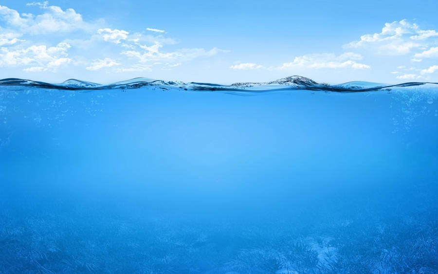 Underwater Surface Ocean Desktop Wallpaper