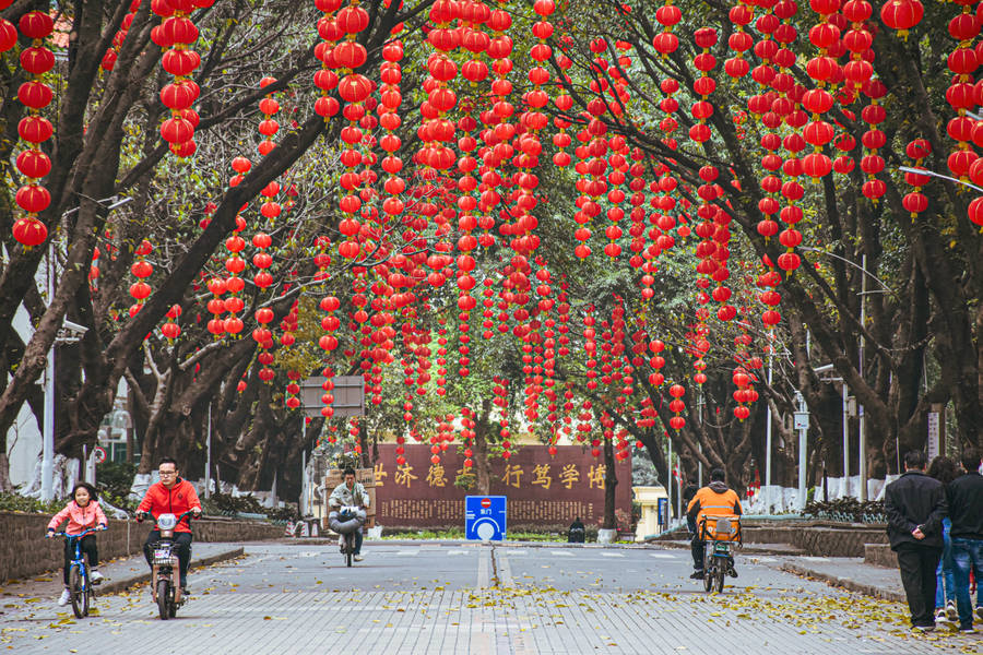 University Entrance With Paper Lanterns Wallpaper