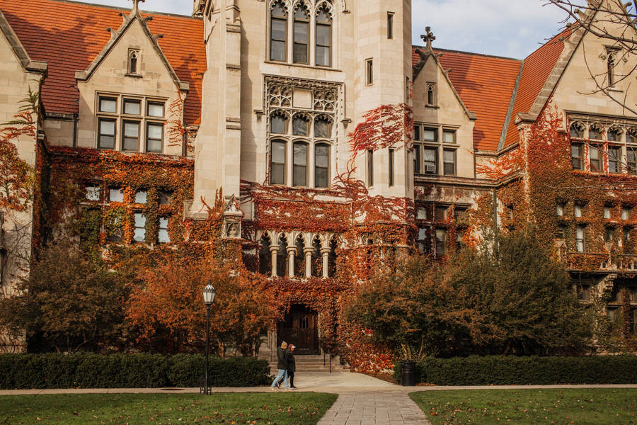 University Of Chicago Autumn Wallpaper