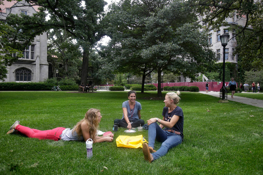 University Of Chicago Students Engrossed In Their Studies Wallpaper