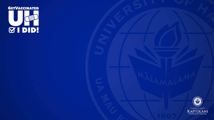 University Of Hawaii Dark Blue Zoom Background Wallpaper