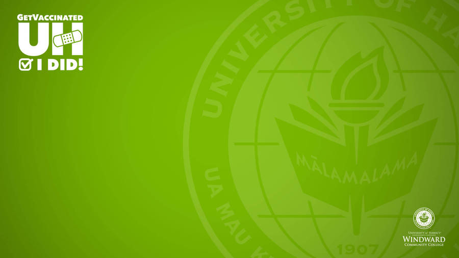 University Of Hawaii Green Zoom Background Wallpaper