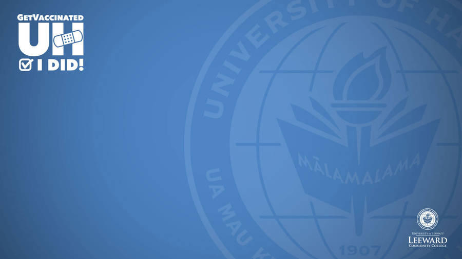 University Of Hawaii Light Blue Zoom Background Wallpaper