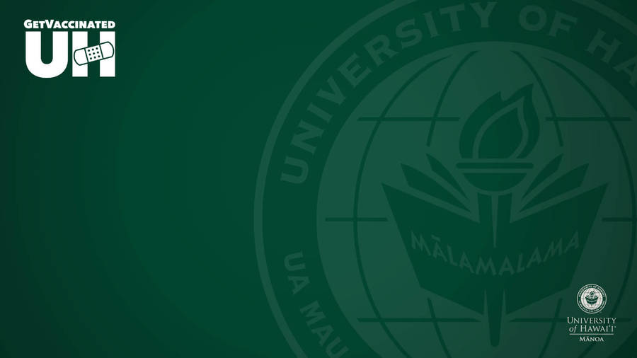 University Of Hawaii Manoa Green Zoom Backdrop Wallpaper